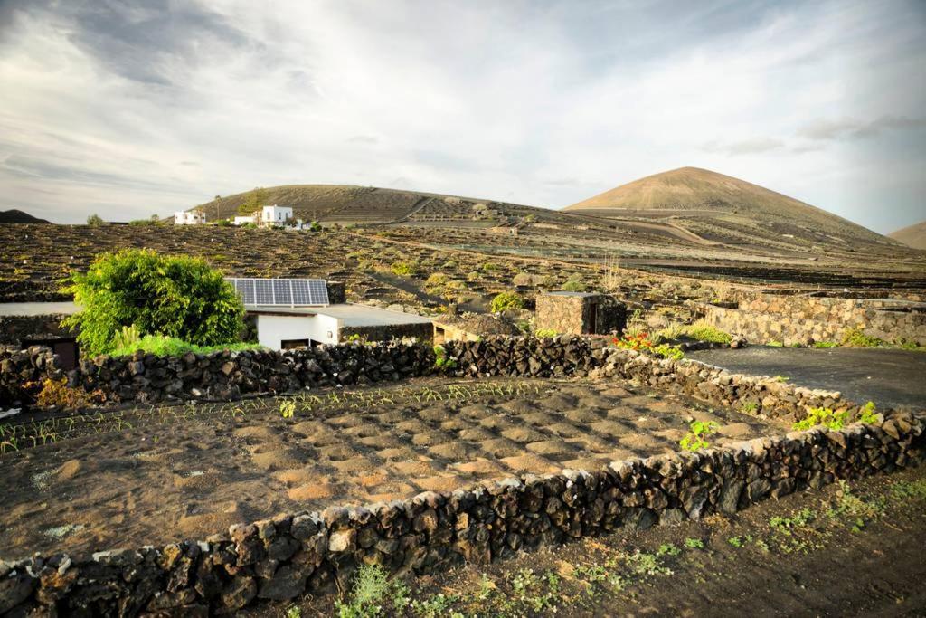Los Frailes Eco Finca A Tinajo Eksteriør billede